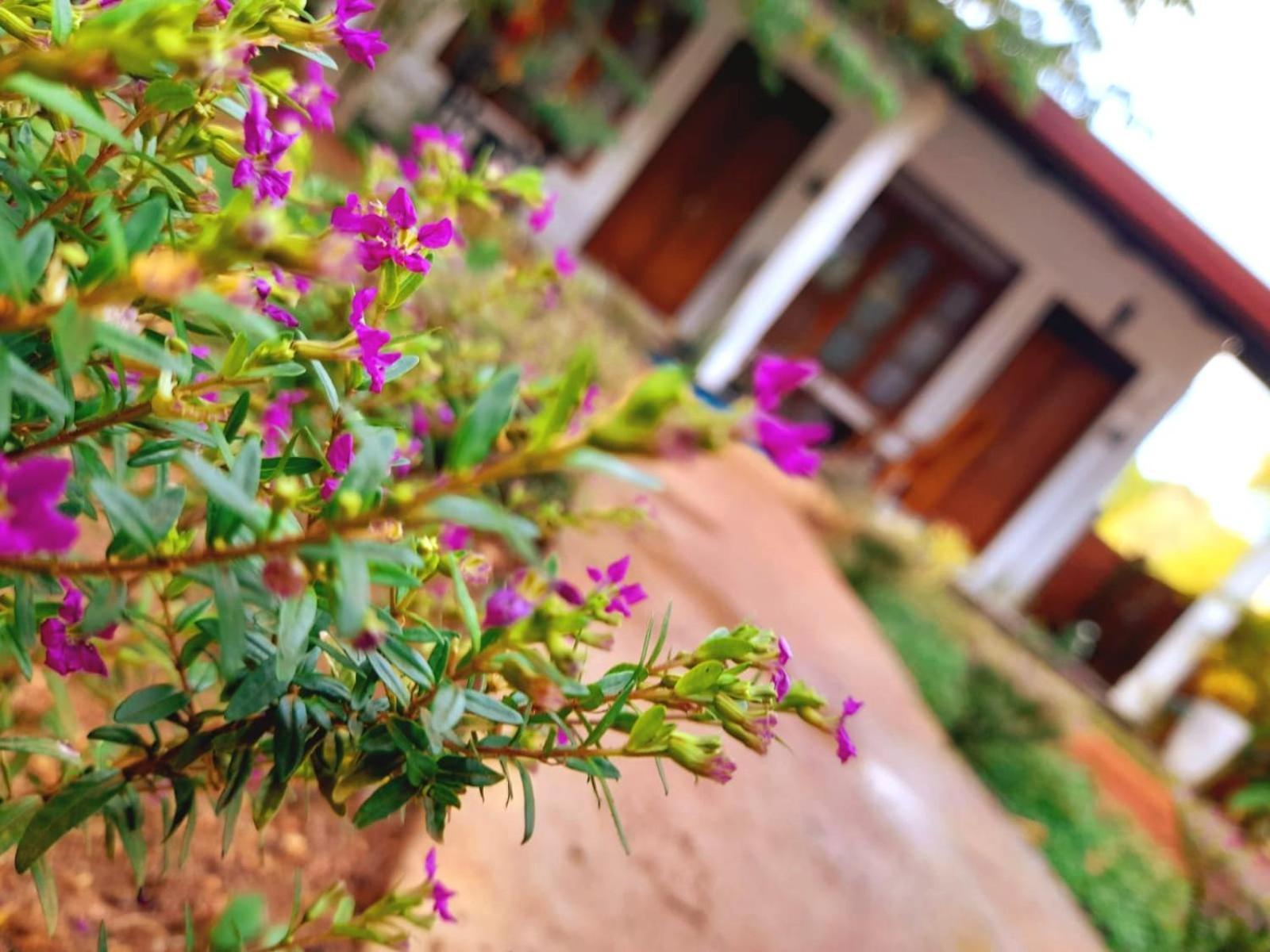 The Cozy Cottage Habarana Kültér fotó